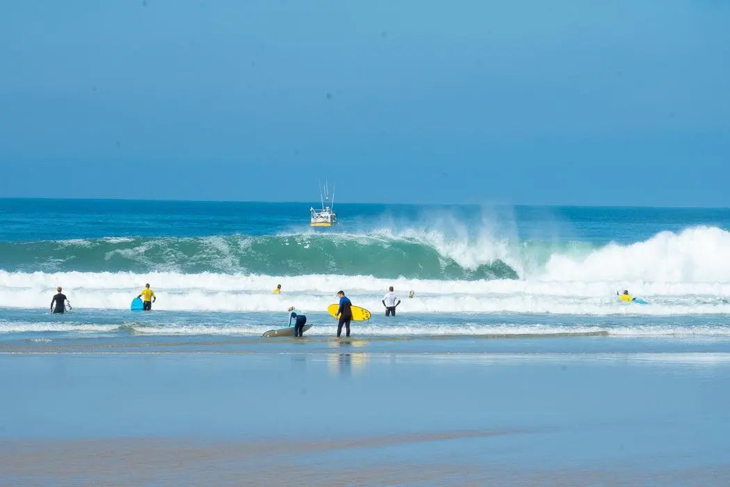 France - The Breakdown - BOARDSOX® Australia